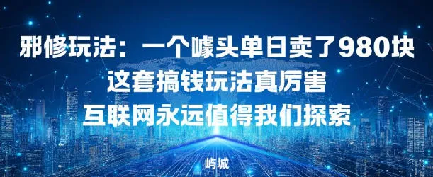 邪修玩法：一个噱头单日卖了980米这套搞钱玩法真厉害互联网永远值得我们探索-趣酷猫资源网
