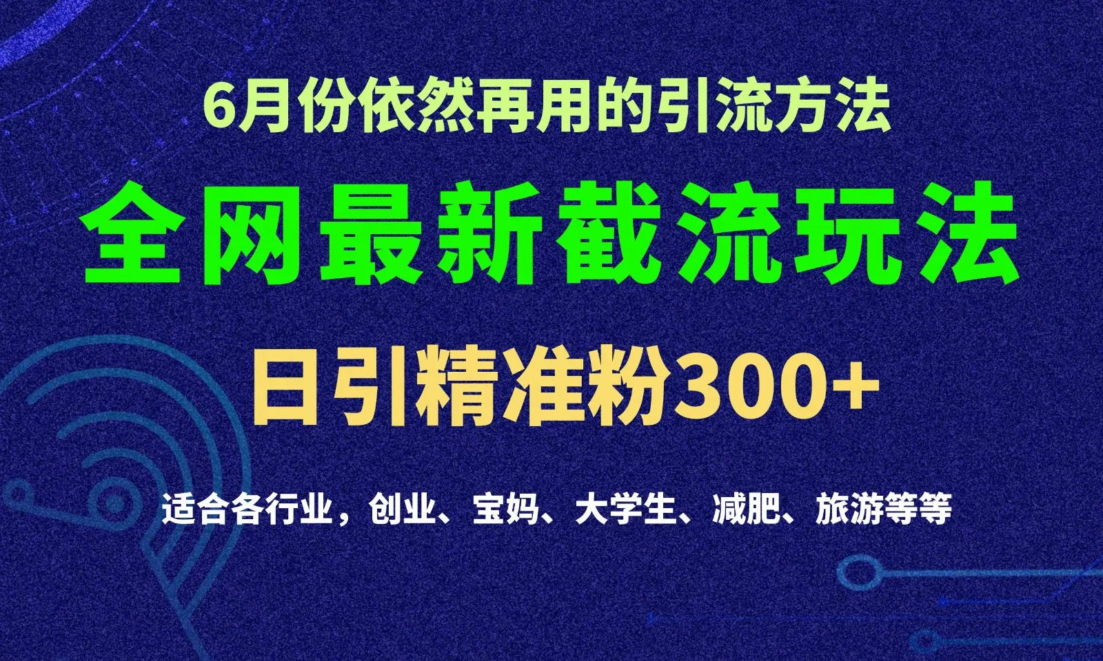 2024全网最新截留玩法，每日引流突破300+-趣酷猫资源网
