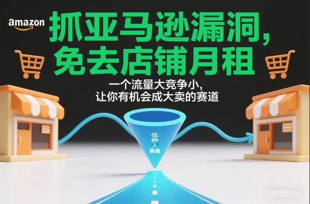 抓亚马逊漏洞，免去店铺月租，一个流量大竞争小，让你有机会成大卖的赛道-趣酷猫资源网