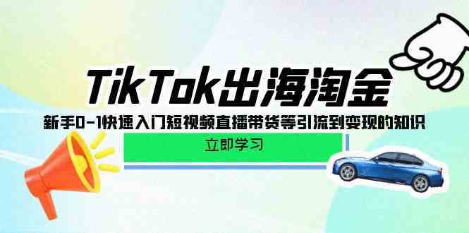 TikTok出海淘金，新手0-1快速入门短视频直播带货等引流到变现的知识-趣酷猫资源网