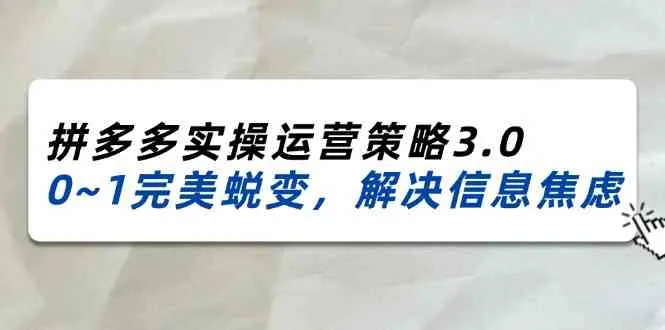 2024-2025拼多多实操运营策略3.0，0~1完美蜕变，解决信息焦虑（38节）-趣酷猫资源网